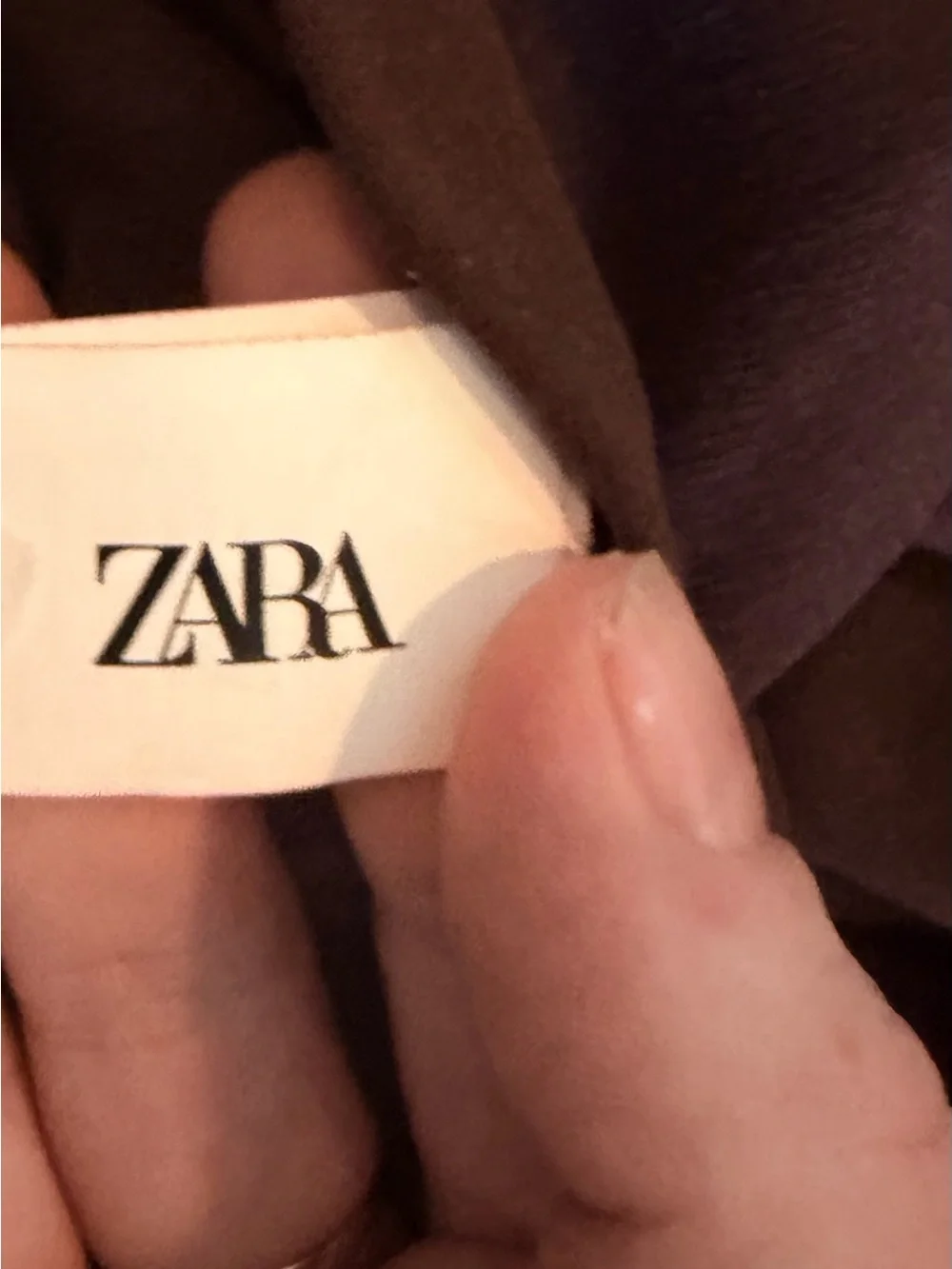 NWOT Zara Brown Ruched Long-Sleeve Crop Top & Free Beauty Gift Bag 🎁